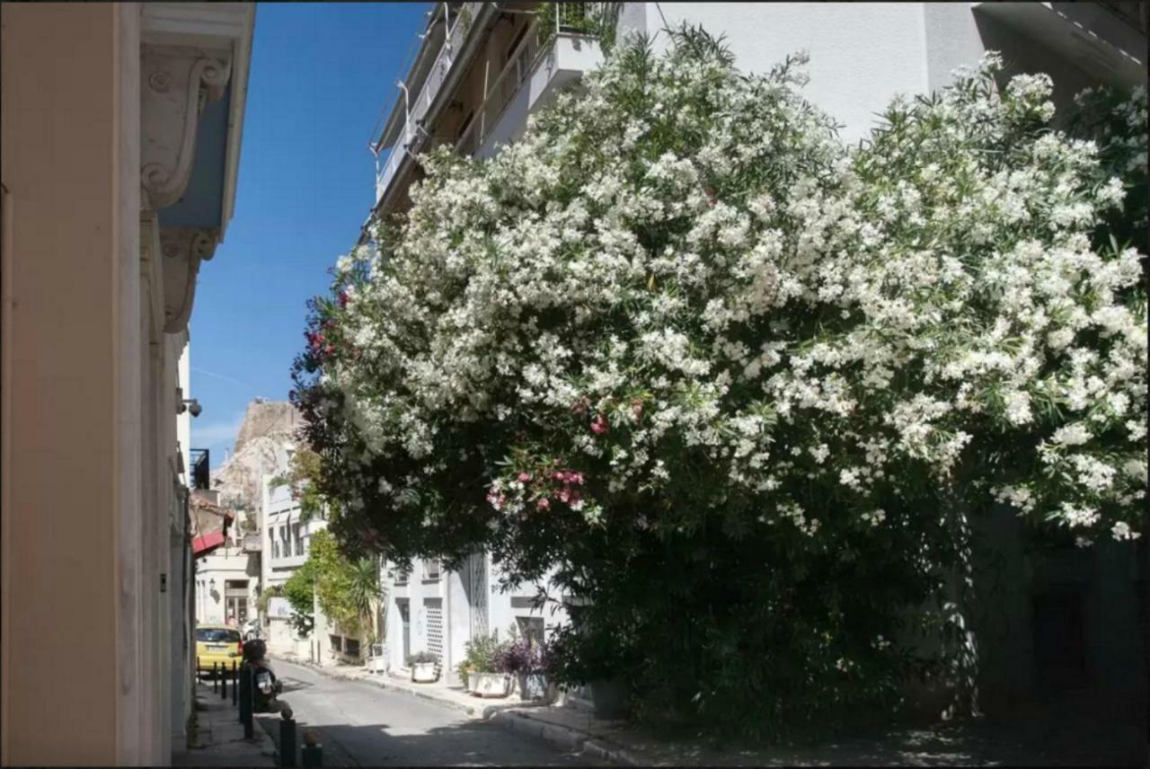 Vintage Charm By The Acropolis! Apartman Athén Kültér fotó